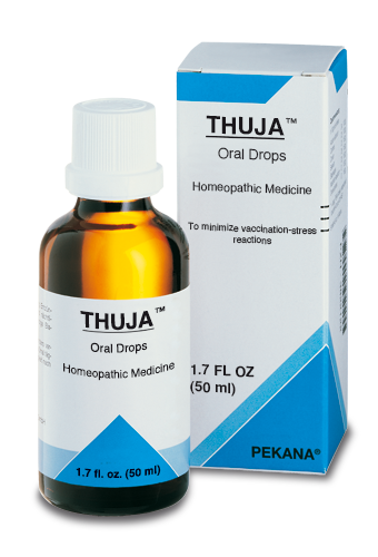 Thuja image 0