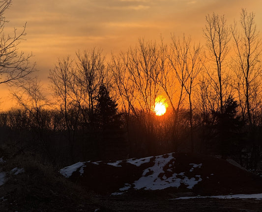 Daylights Savings - Spring ahead is here!