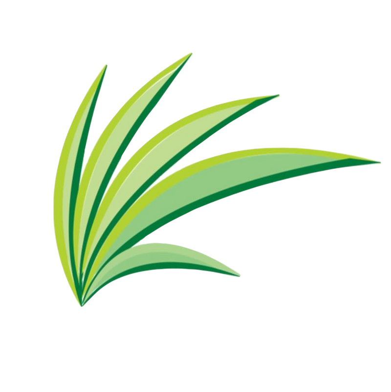 The five-leaf Green Medicine of Wisconsin mark
